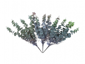 Umelá kytica eukalyptus x 5