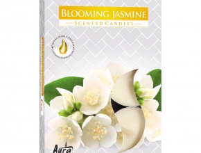 Sviečka čajová aromatická (bal.6) 11gr/4hod P15-169 Blooming jasmine